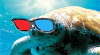 Turtles Goes 3D!